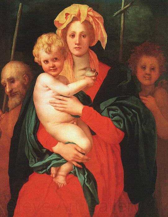 Jacopo Pontormo Madonna Child with St.Joseph and St.John the Baptist Spain oil painting art